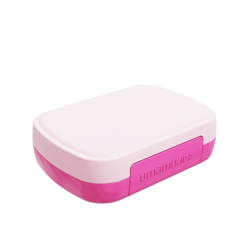 All-In-One Kids Bento Lunch Box with Cutlery