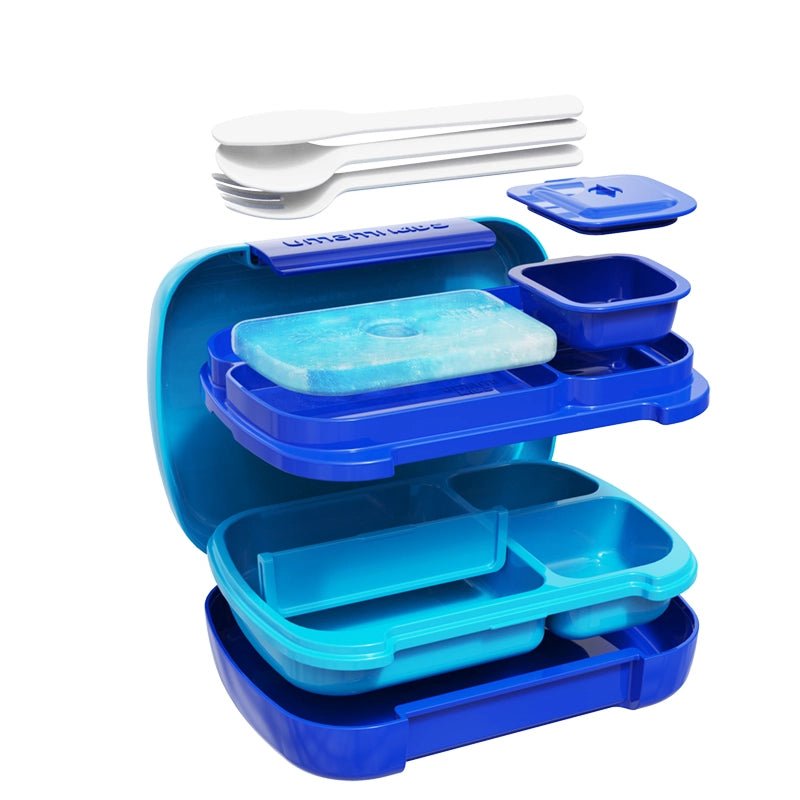 All-In-One Kids Bento Lunch Box with Cutlery