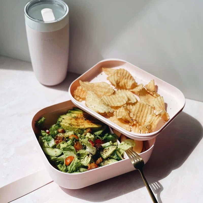 3-Compartment Bento Lunch Box - 1.5Ltr