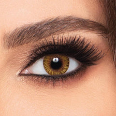 Freshlook Colorblends Daily Contact Lenses - WahaLifeStyle