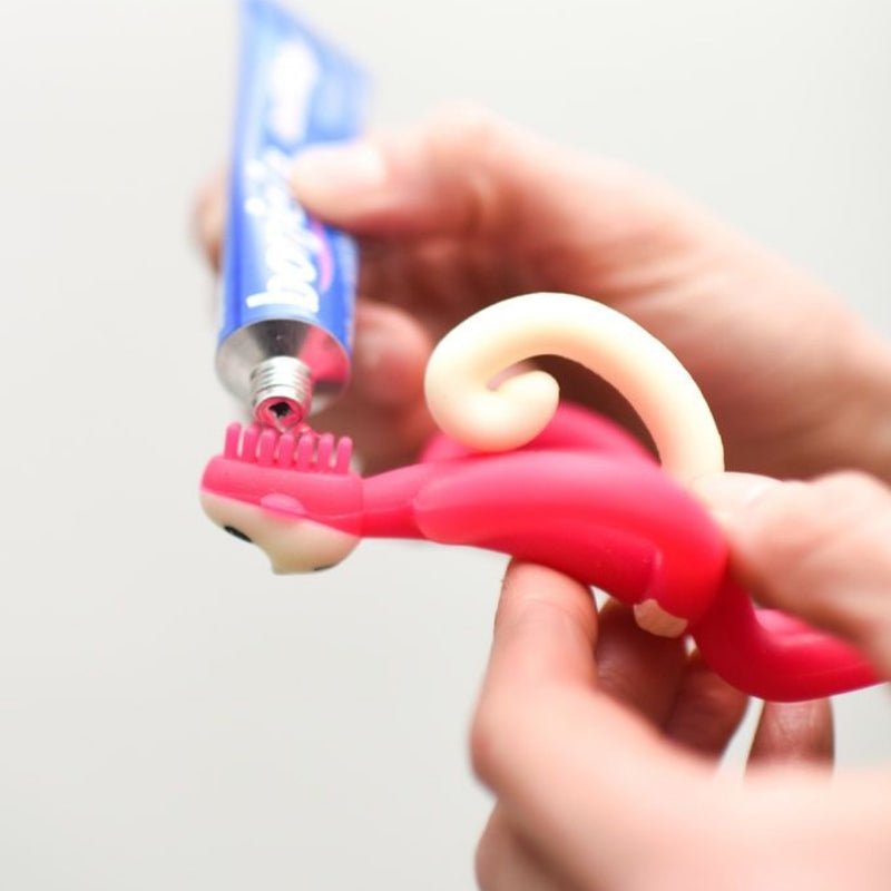 Matchstick Monkey Original Teething Toy & Gel Applicator - WahaLifeStyle